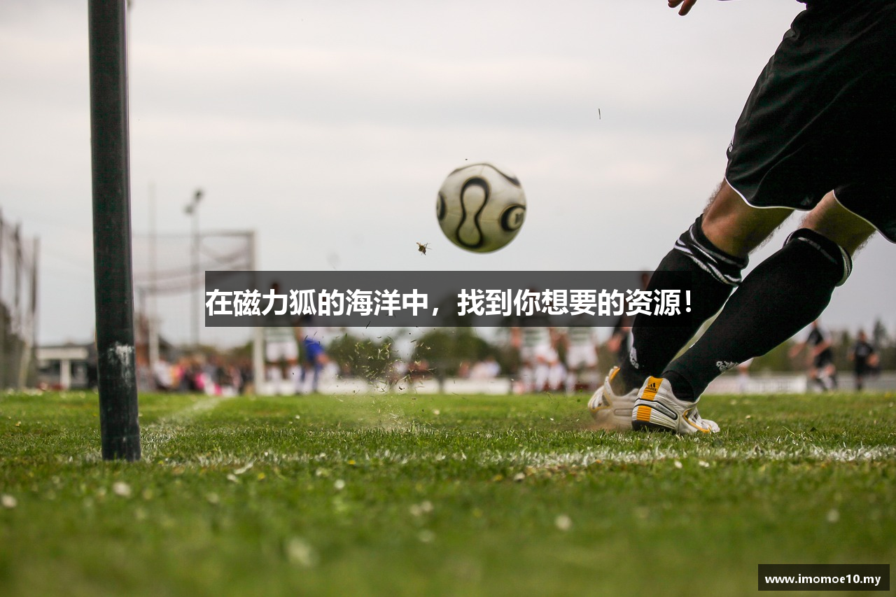 樱花动漫网站官网 imomoe